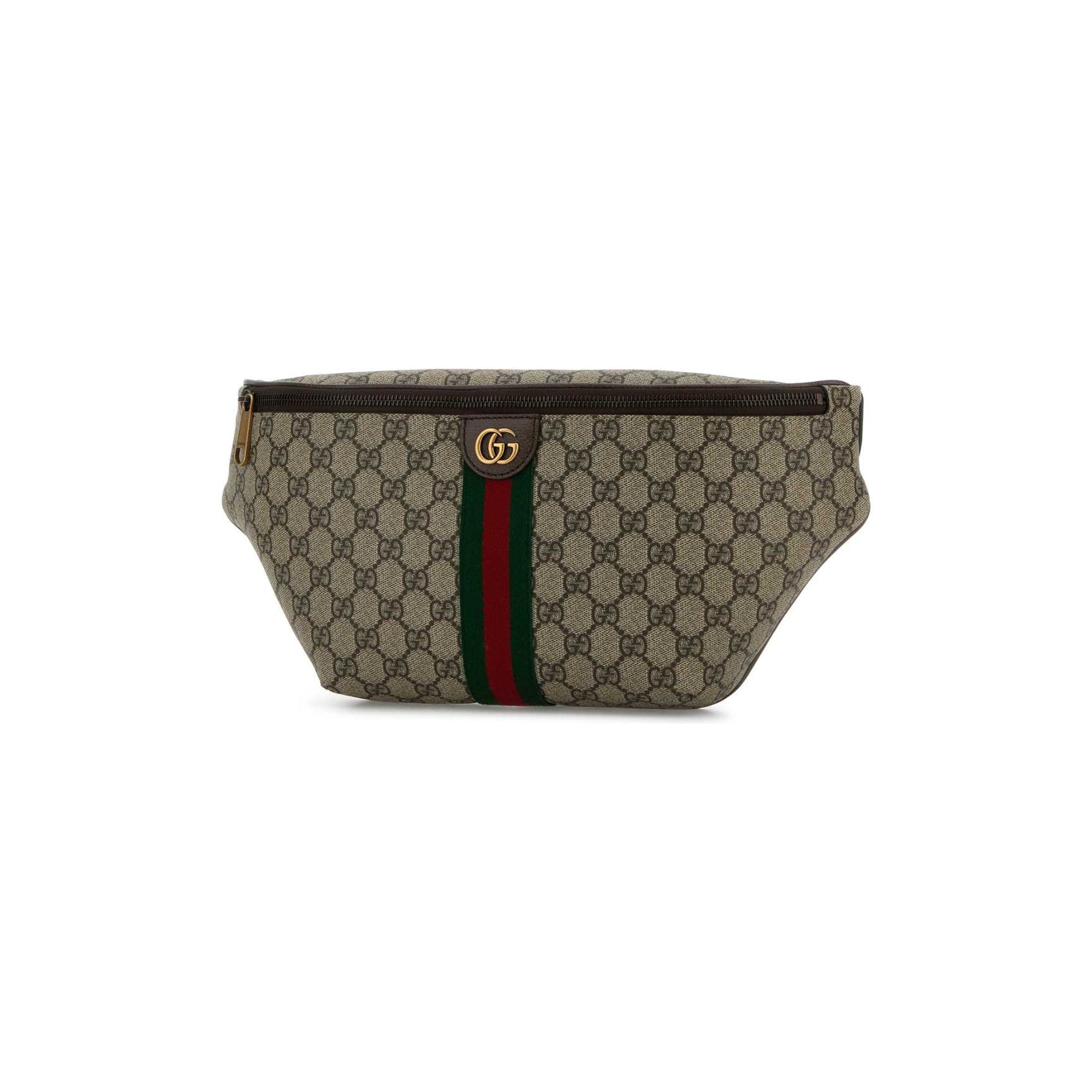 Ophidia large belt bag