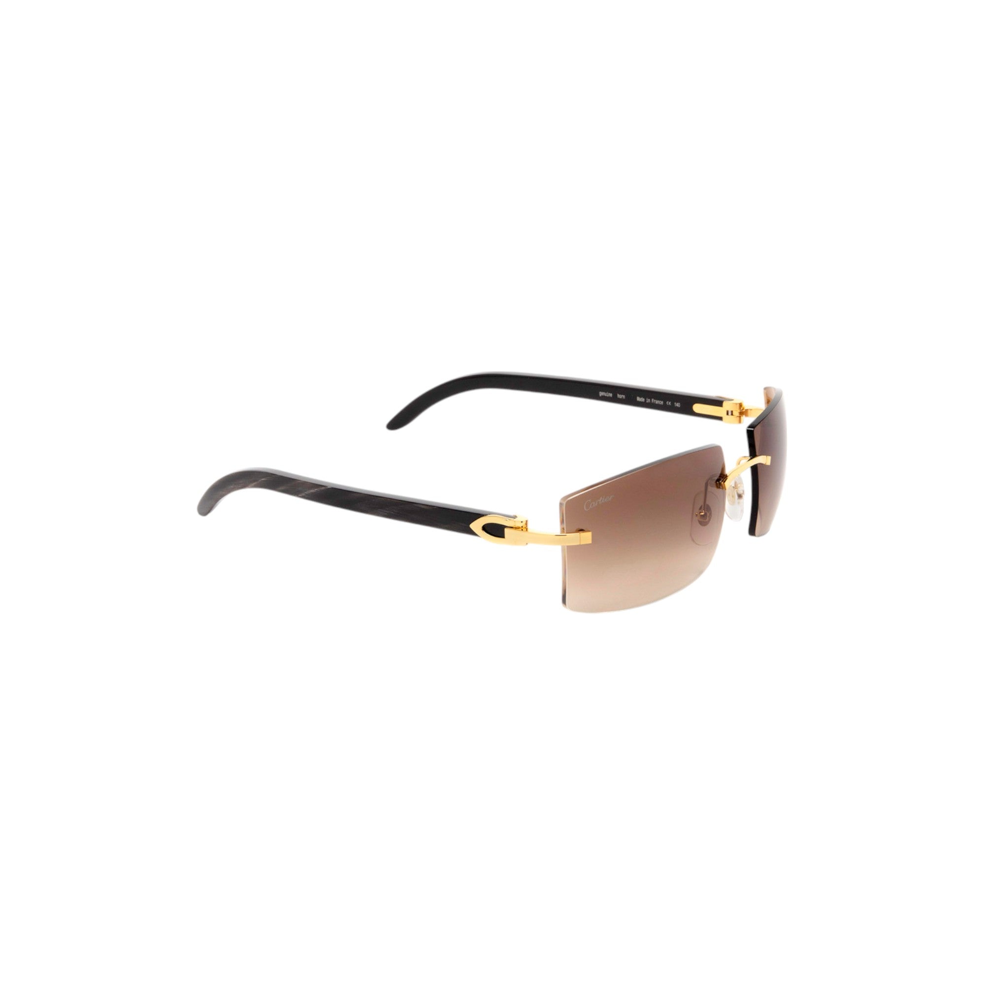 CT0021RS Gold Rectangle Sunglasses