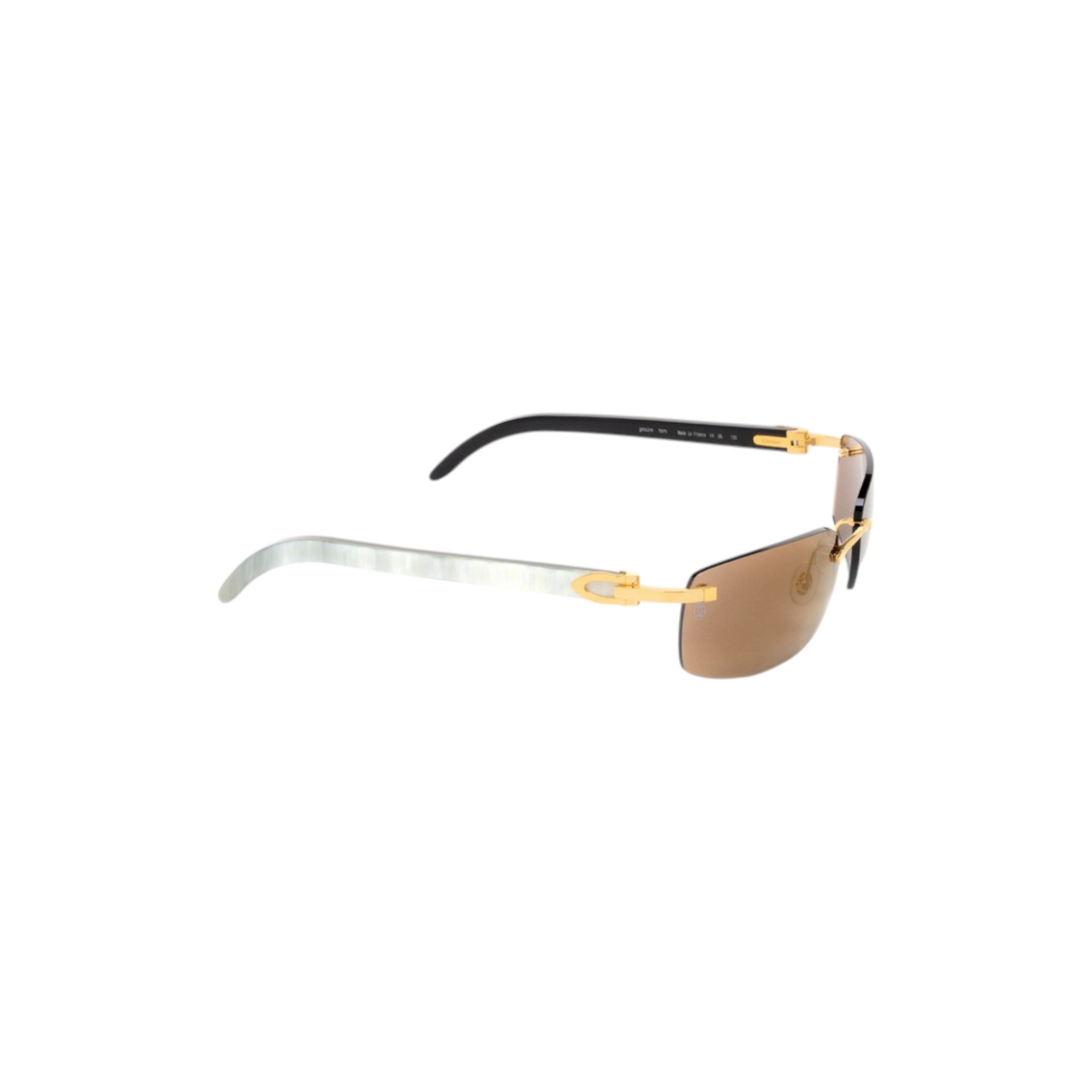 CT0046S Gold Horn Sunglasses