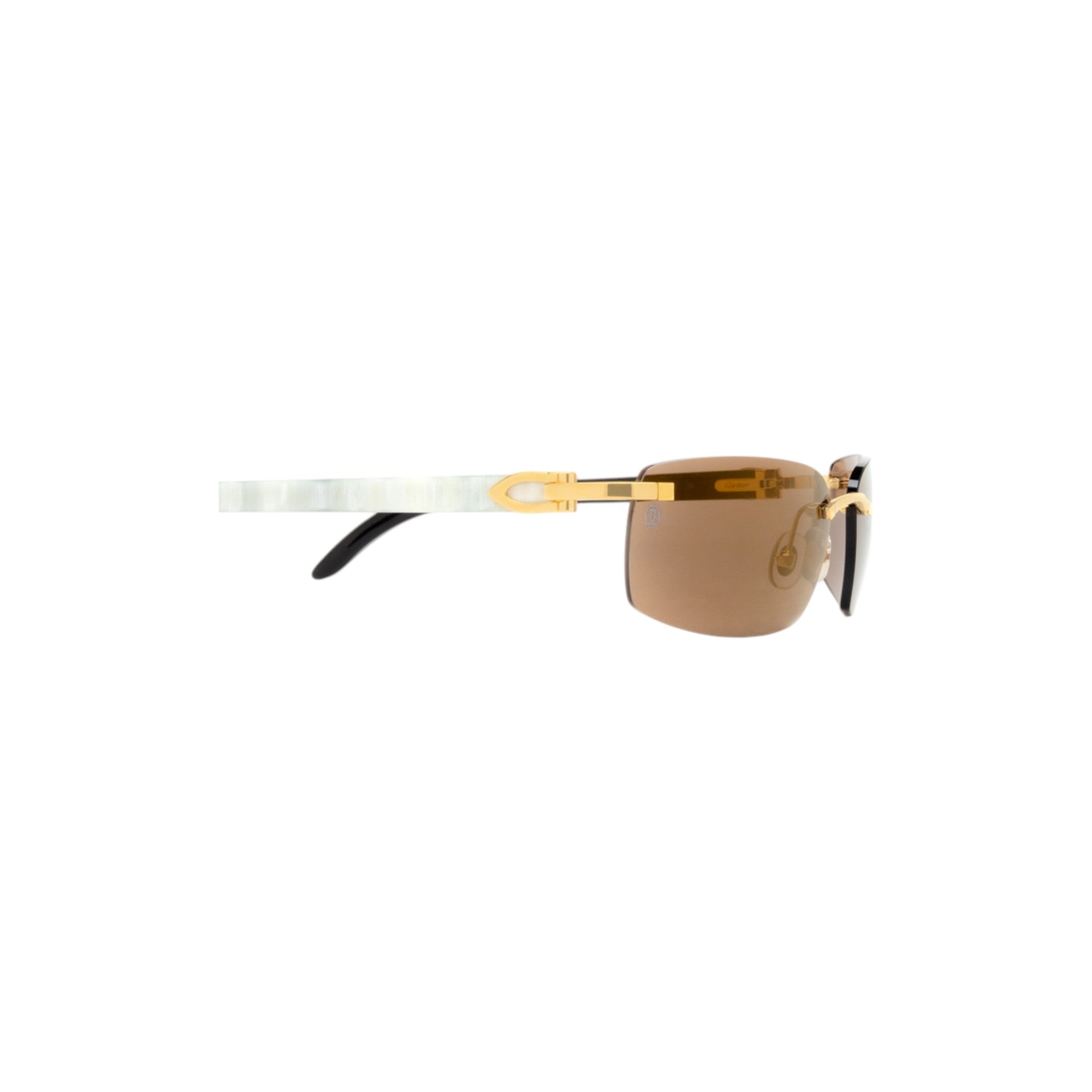 CT0046S Gold Horn Sunglasses