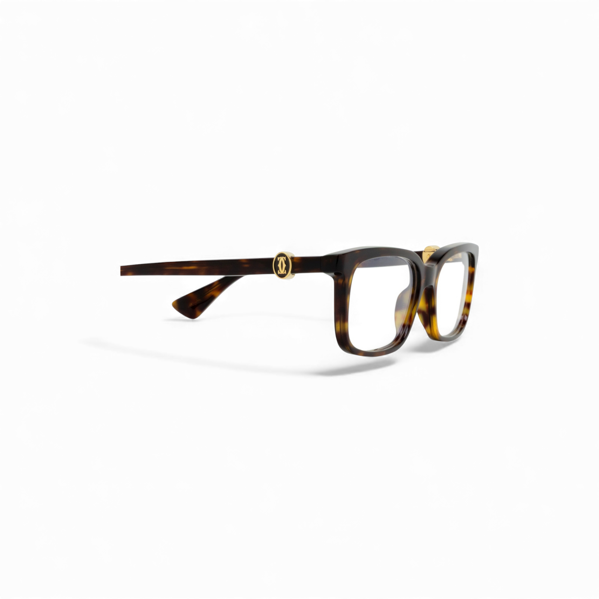 CT0525O Havana Eyewear