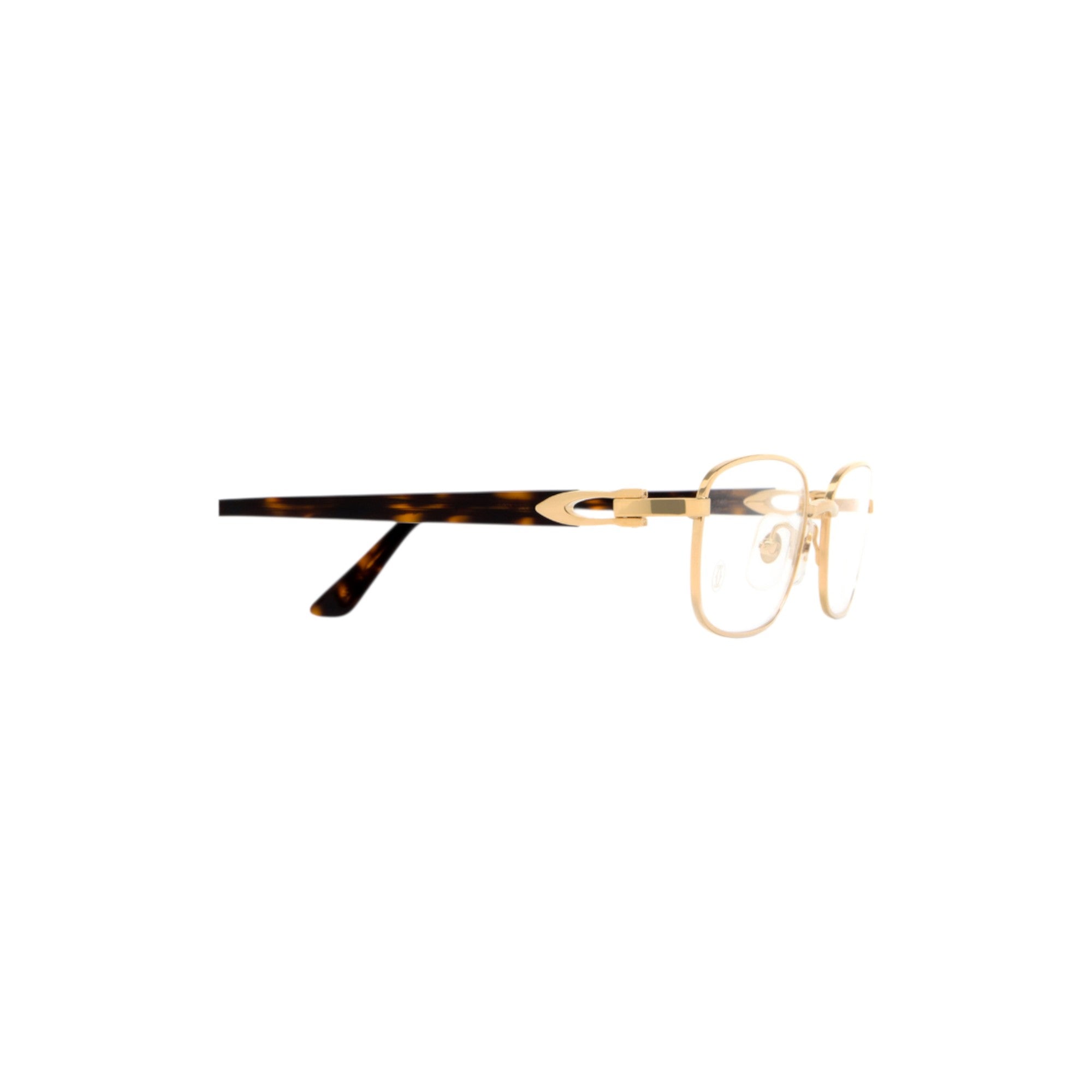 Gold Havana Eyeglasses