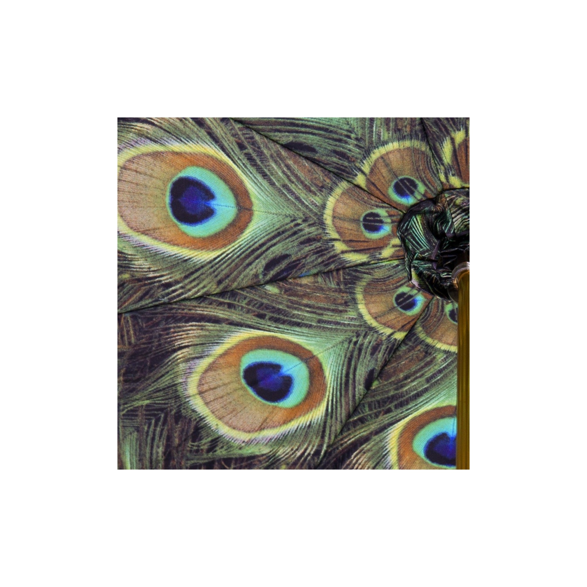 Black Umbrella with Peacock Interior, Double Cloth