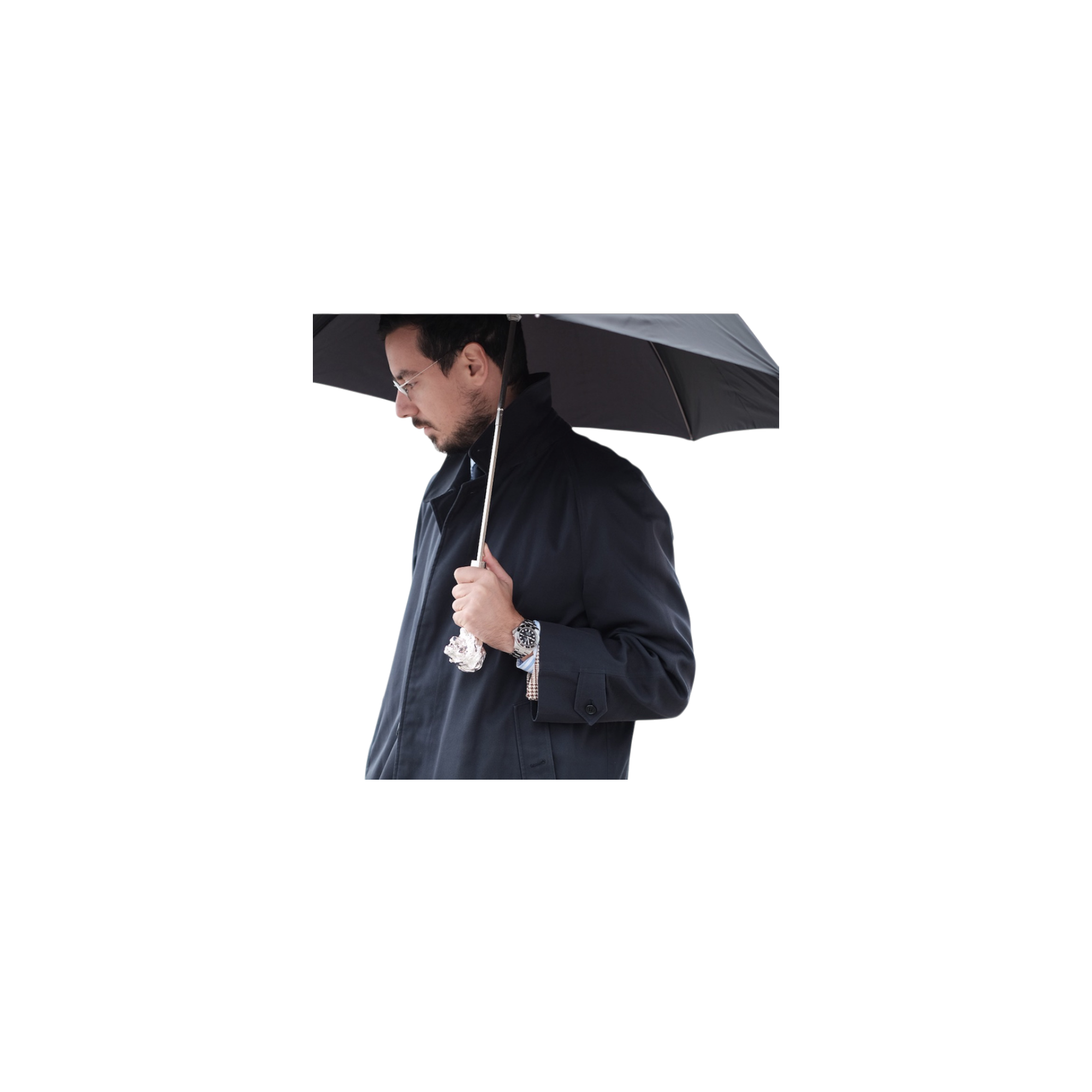 Silver Lion Folding Umbrella – Italian Craftsmanship & Fierce Style