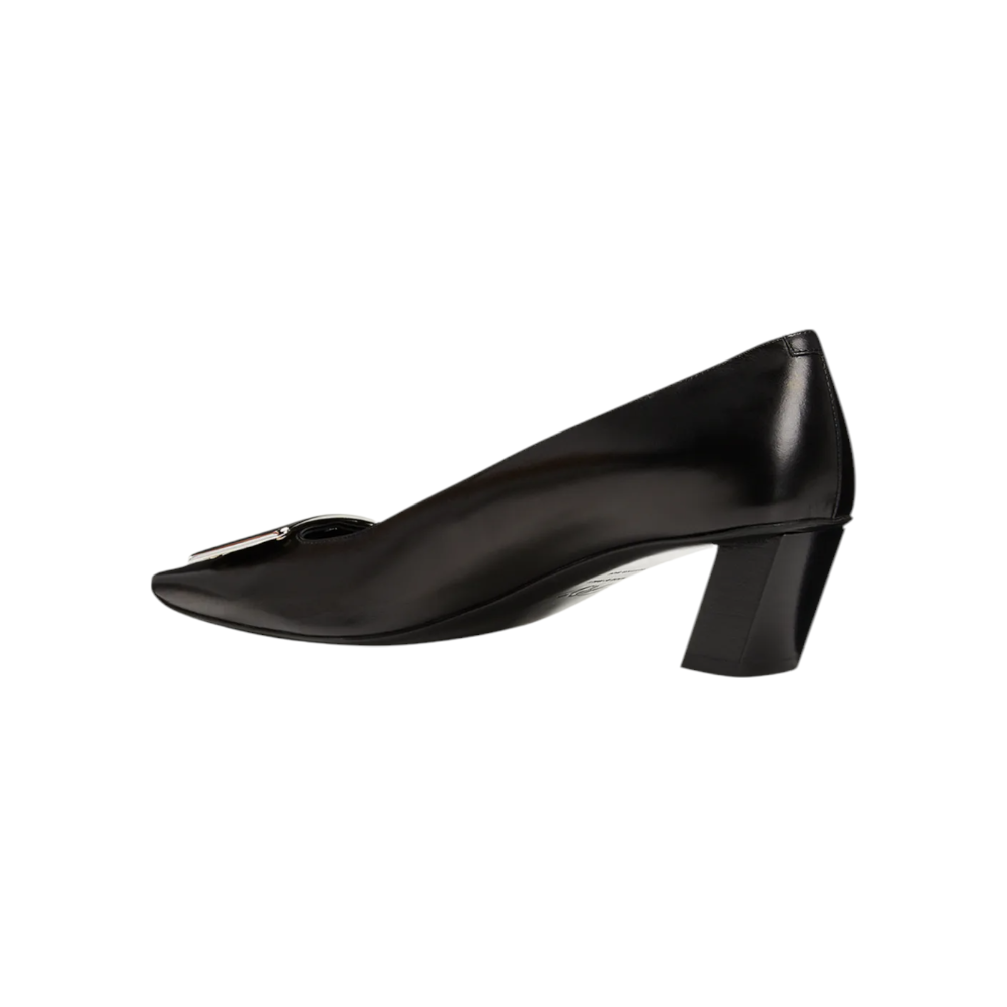 Belle Vivier Pumps Black