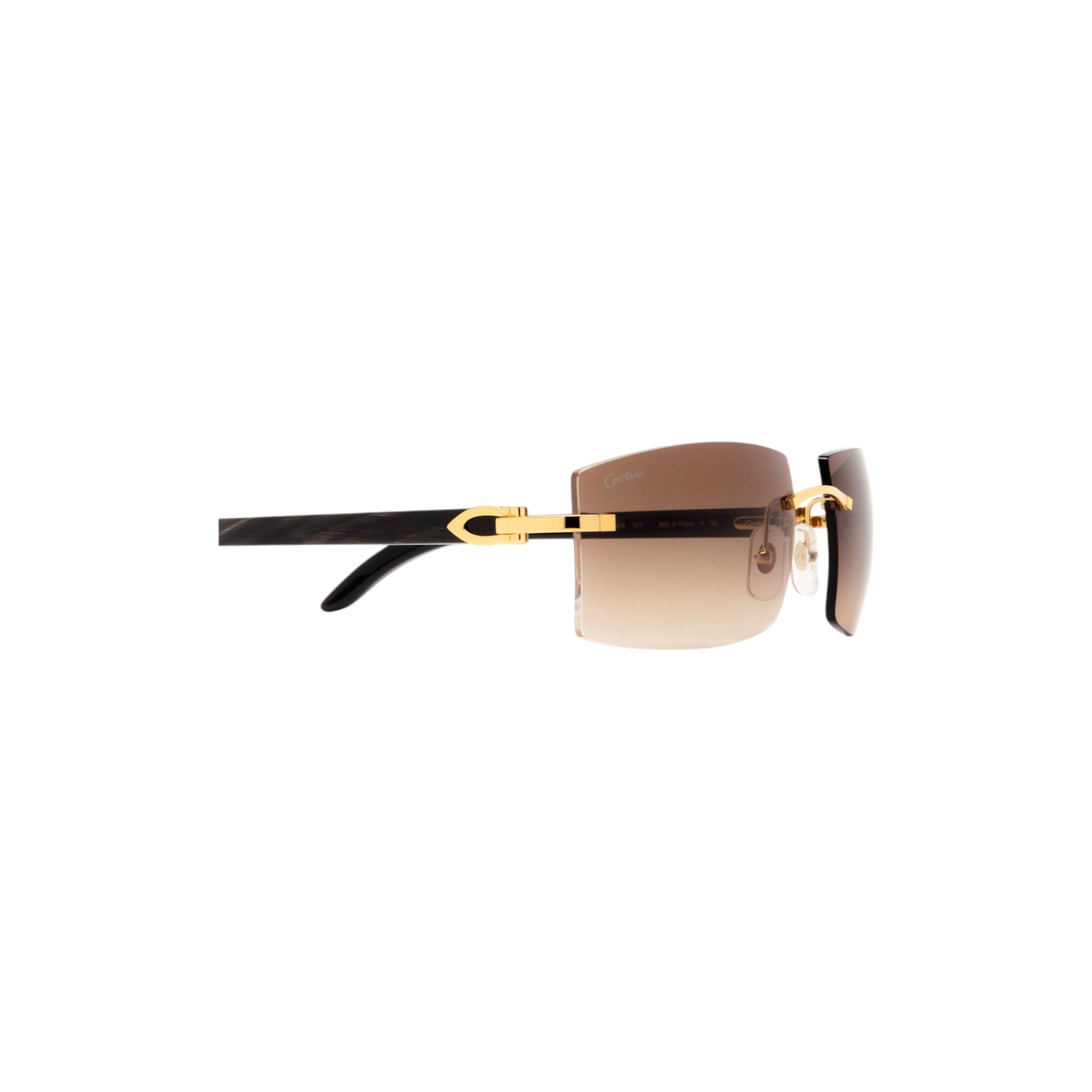 CT0021RS Gold Rectangle Sunglasses