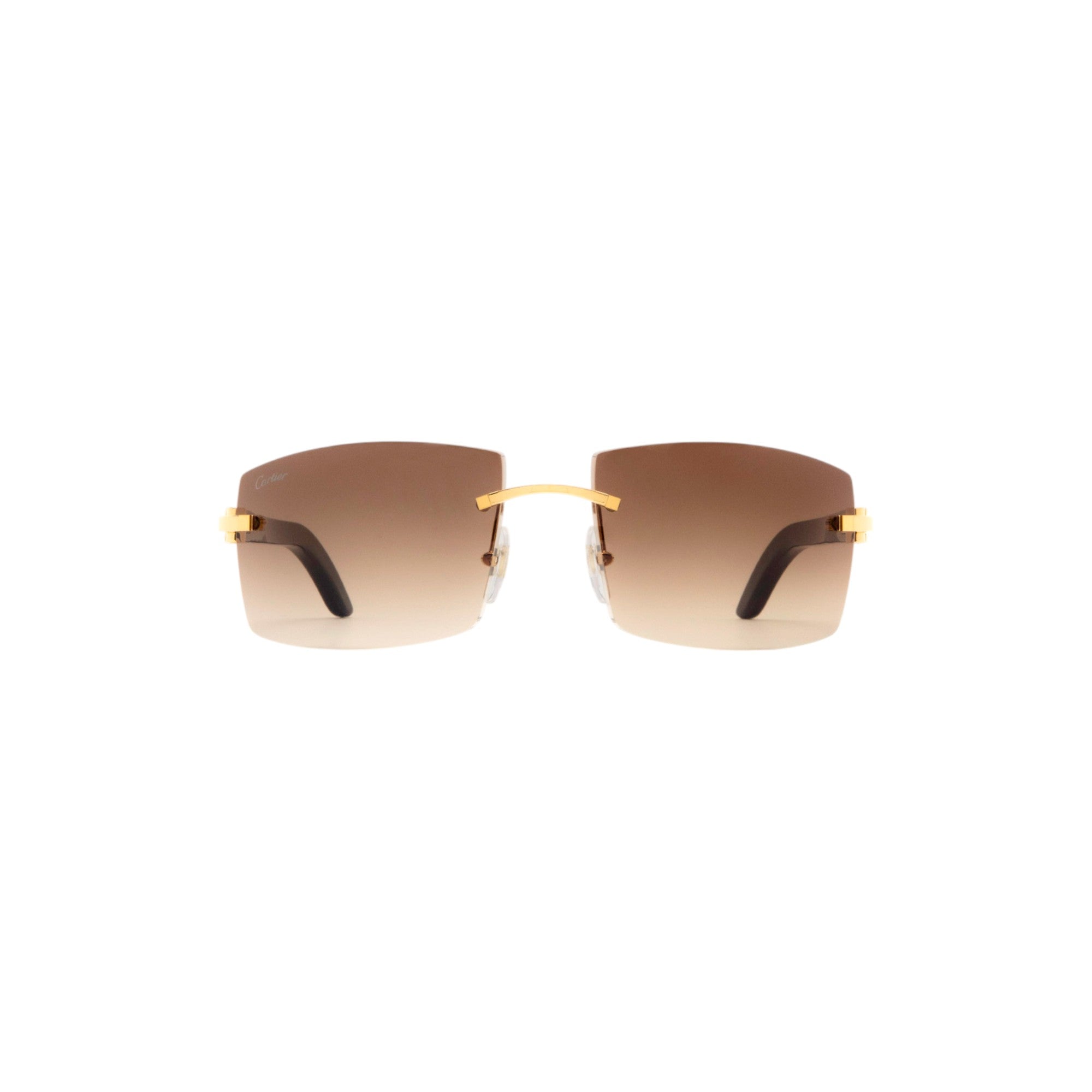 Cartier CT0021RS Gold Rectangle Sunglasses CT0021RS 001