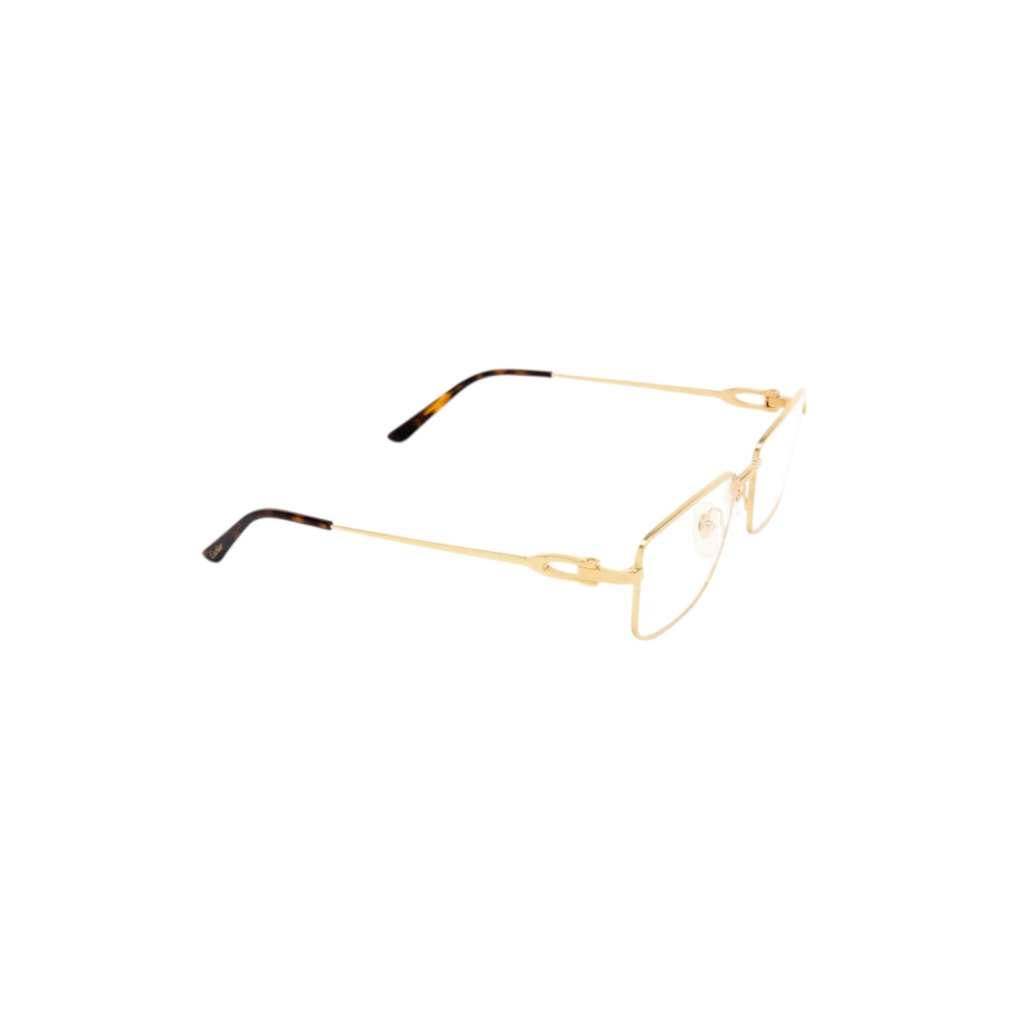 Gold Havana Eyeglasses