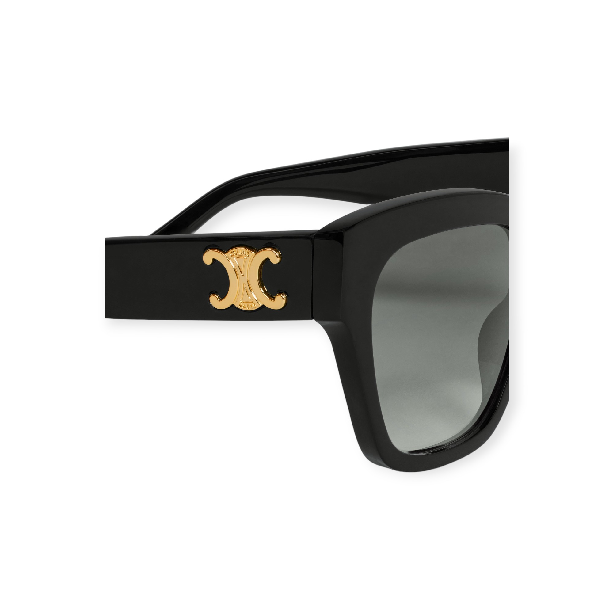 Triomphe 09 Sunglasses In Acetateblack