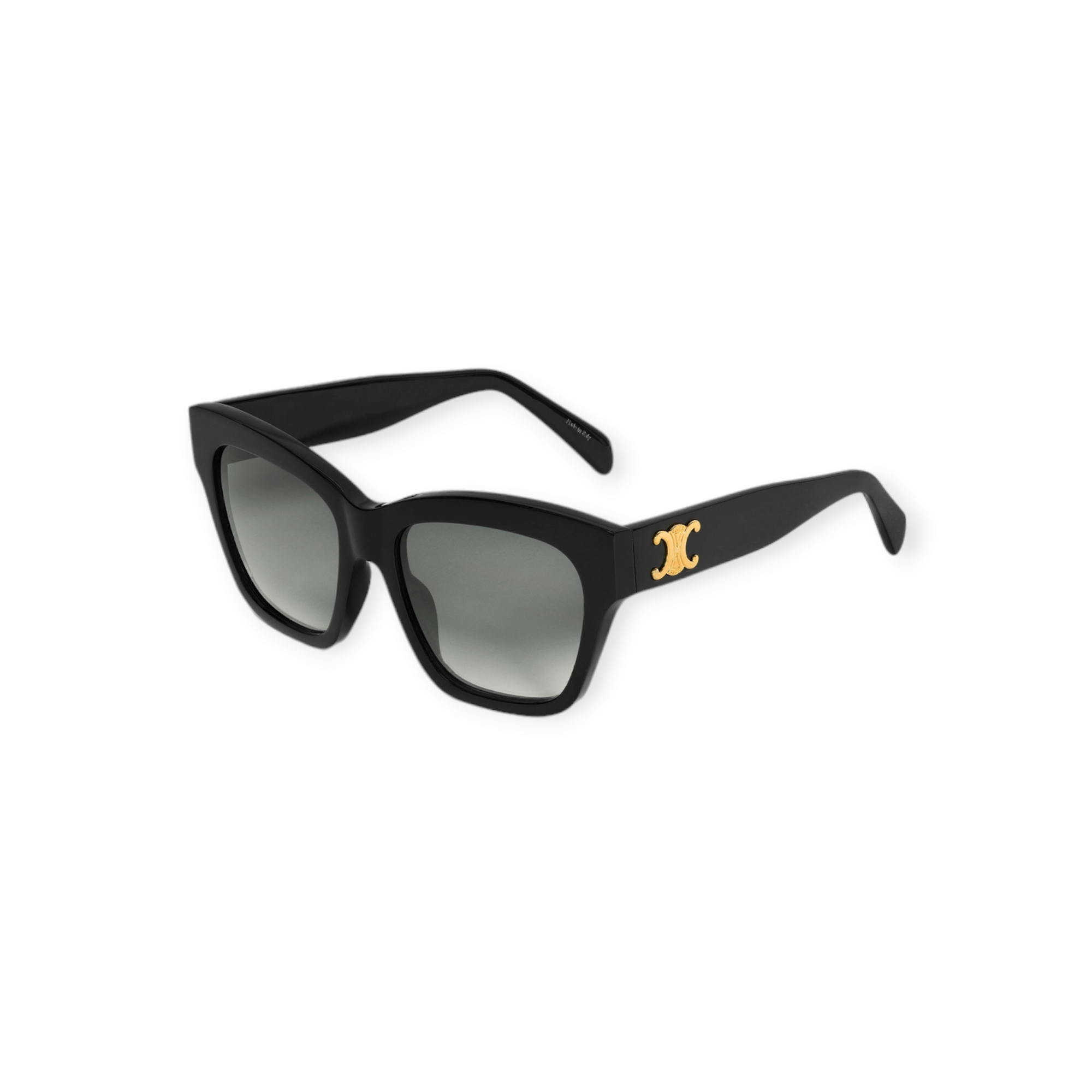 Triomphe 09 Sunglasses In Acetateblack