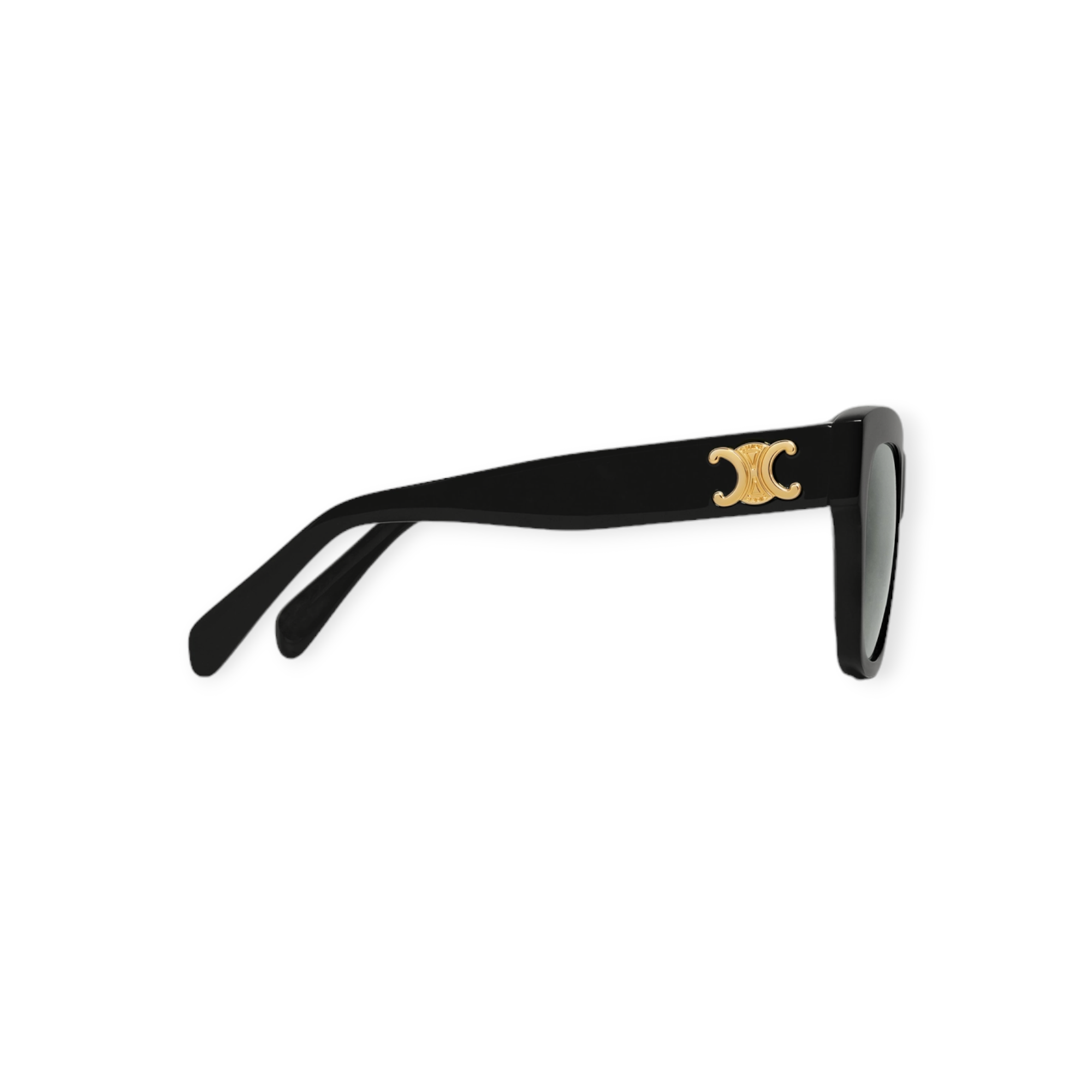 Triomphe 09 Sunglasses In Acetateblack