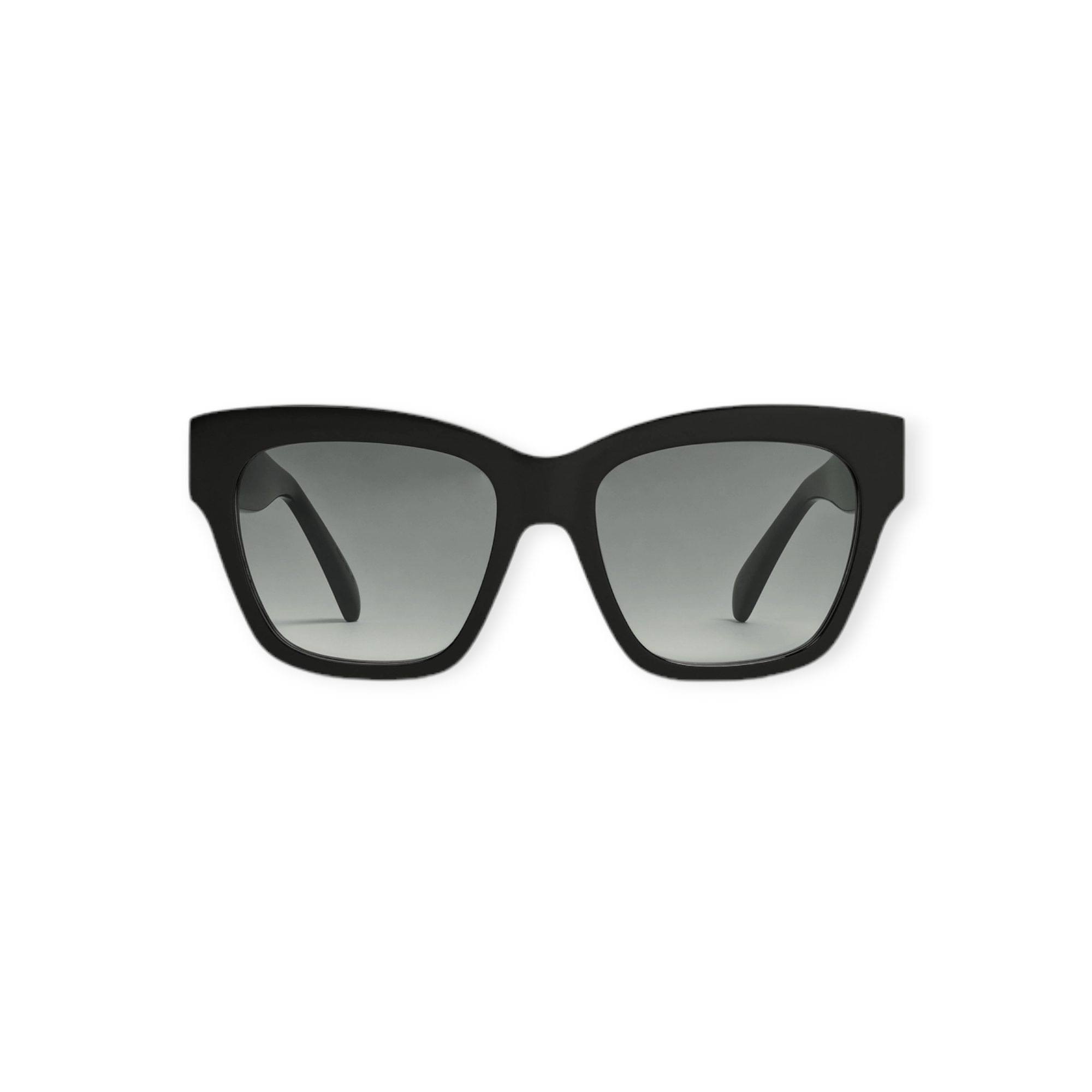 Triomphe 09 Sunglasses In Acetateblack Celine