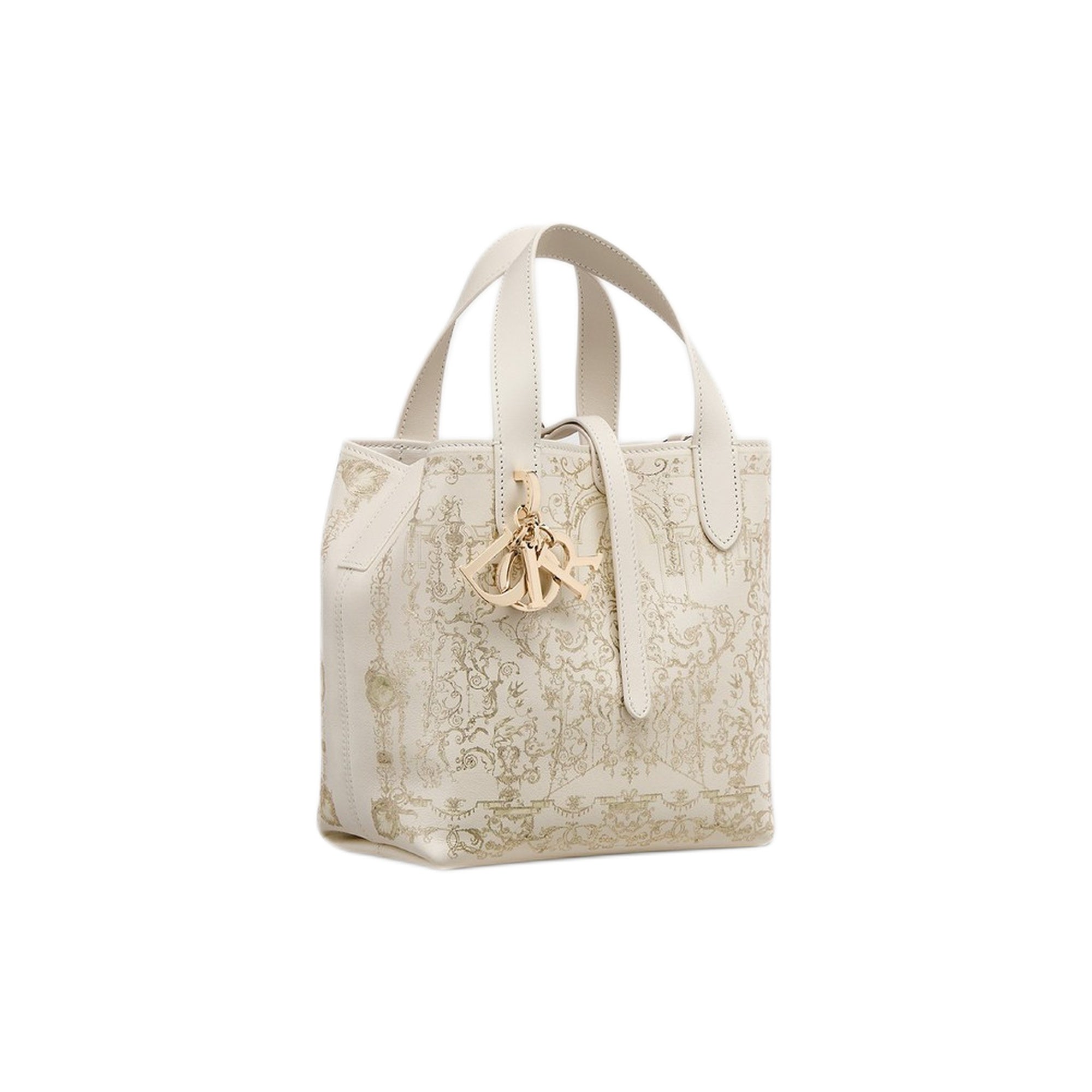 Small Dior Toujours Vertical Tote Bag