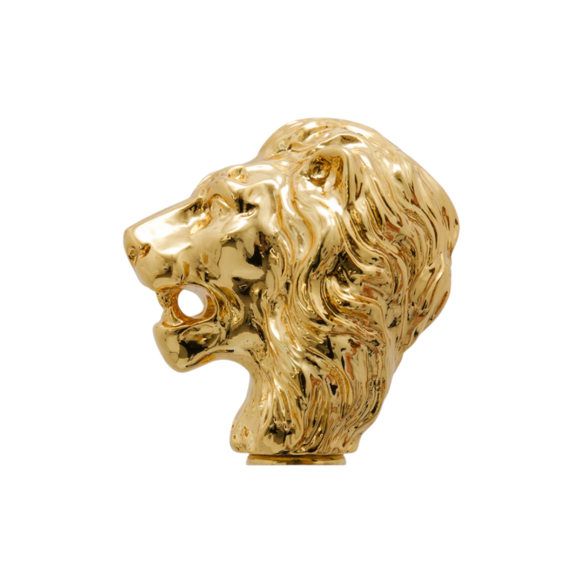 Golden Lion Cane