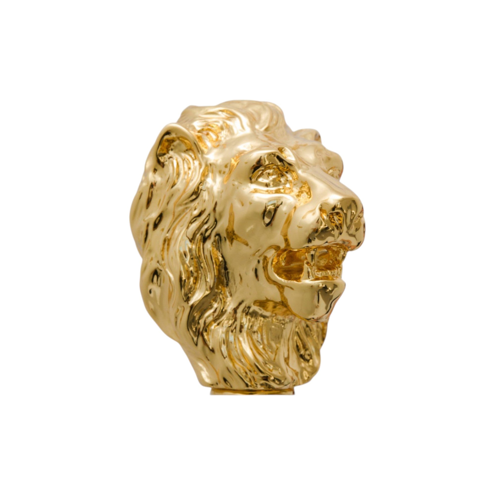 Golden Lion Cane