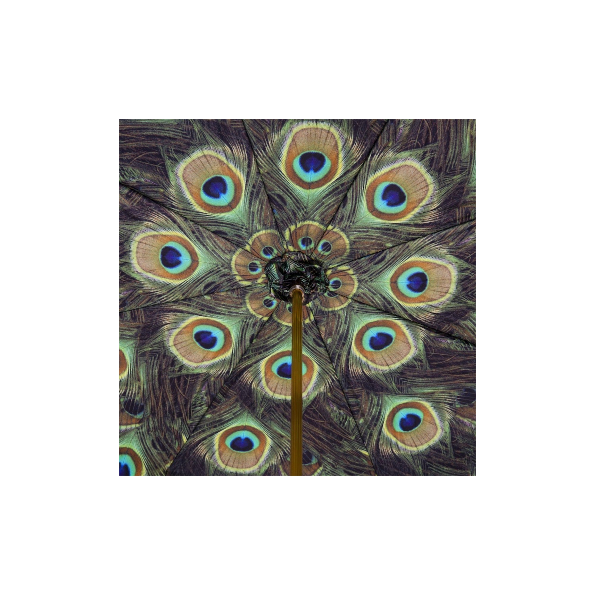Black Umbrella with Peacock Interior, Double Cloth