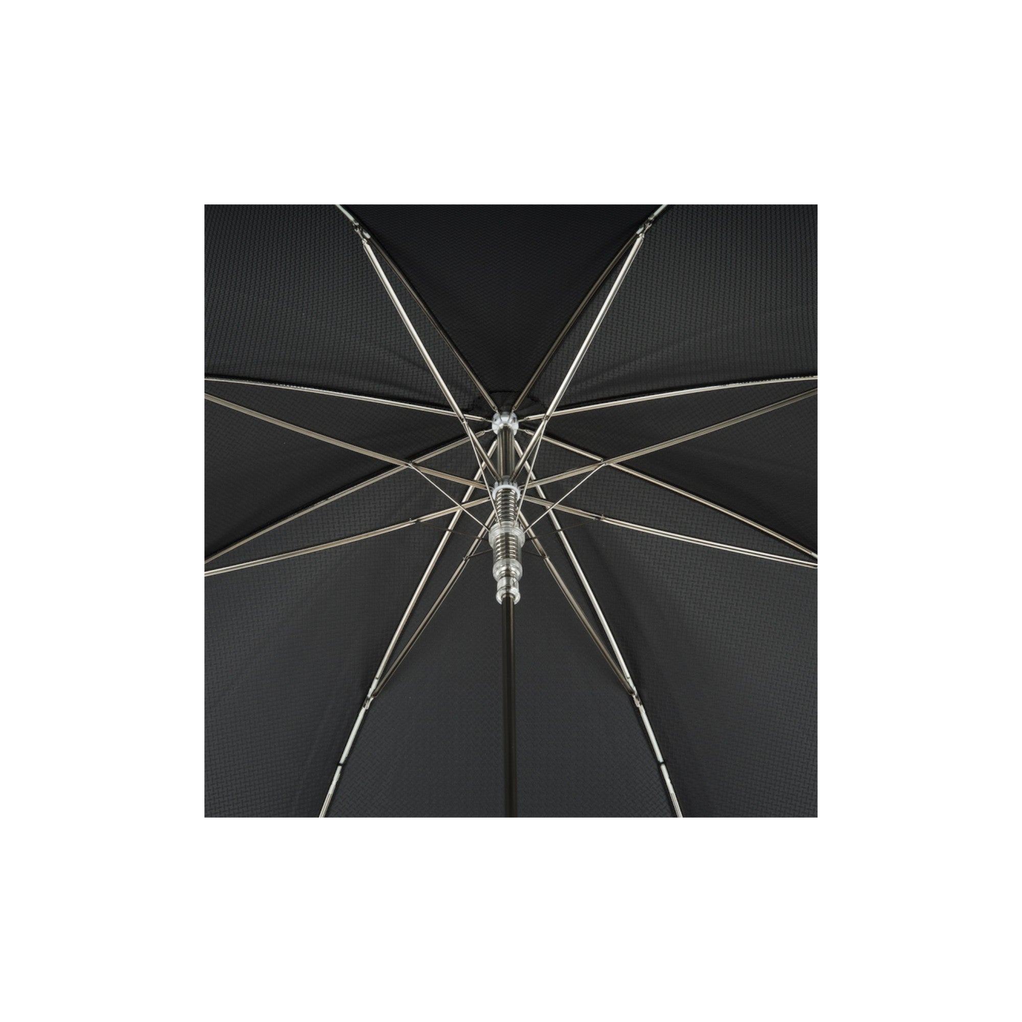 Silver Lion Umbrella